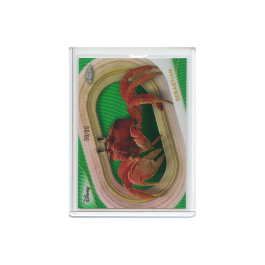 Sebastian-Green-Refractor-/99-2025-Topps-Chrome-Vorderseite